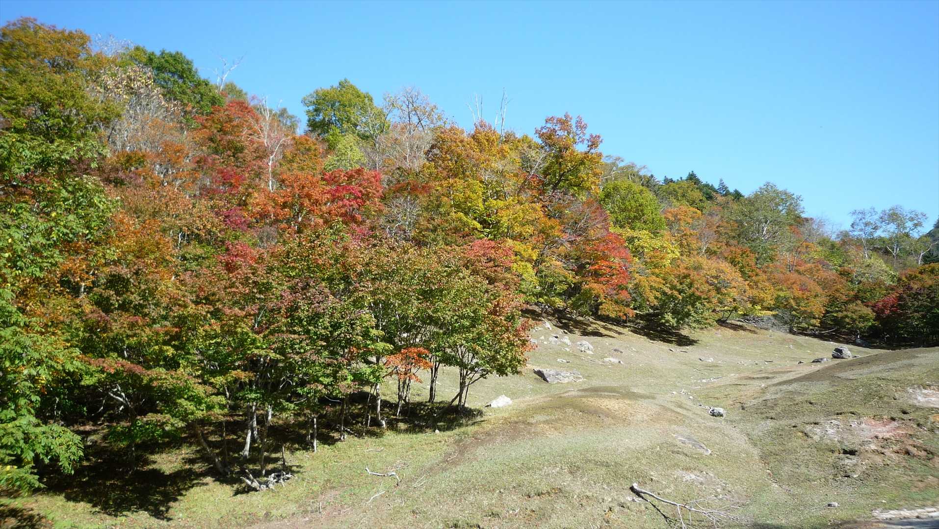 ポンポン山登山口-ポンポン山 往復コースの写真