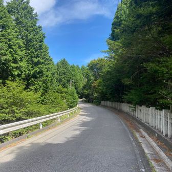 車道を歩いていきます🥾