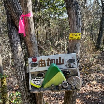 ついたー！
これ、見たかったのです。