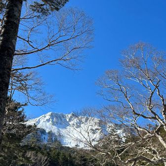 しらびそ小屋に到着
天狗岳がバーン🏔️
山頂は風が強そう😅