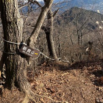 天上山と新倉山の分岐道。天上山に向かうのでこっちには行きませんが、結構エグい感じで気になります