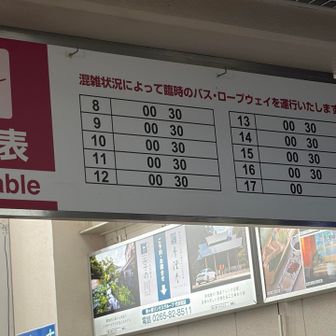 ロープウェイ🚡も臨時でバンバン来てくれるので30分おきではないのが紅葉シーズンで🍁