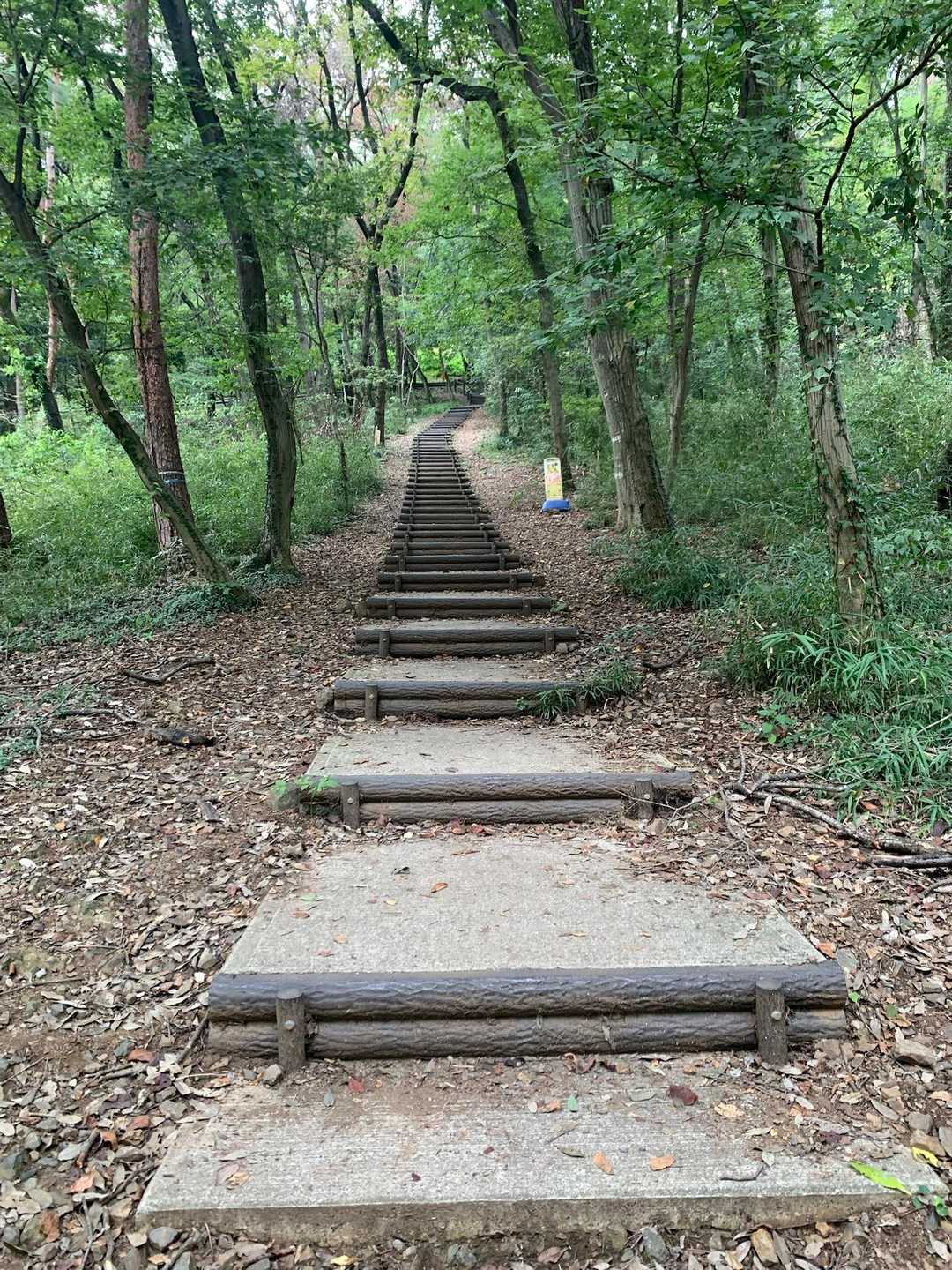 長い階段ですね