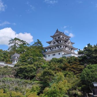 郡上八幡城