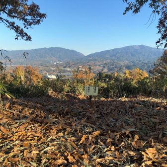 金剛山と葛城山が見えます