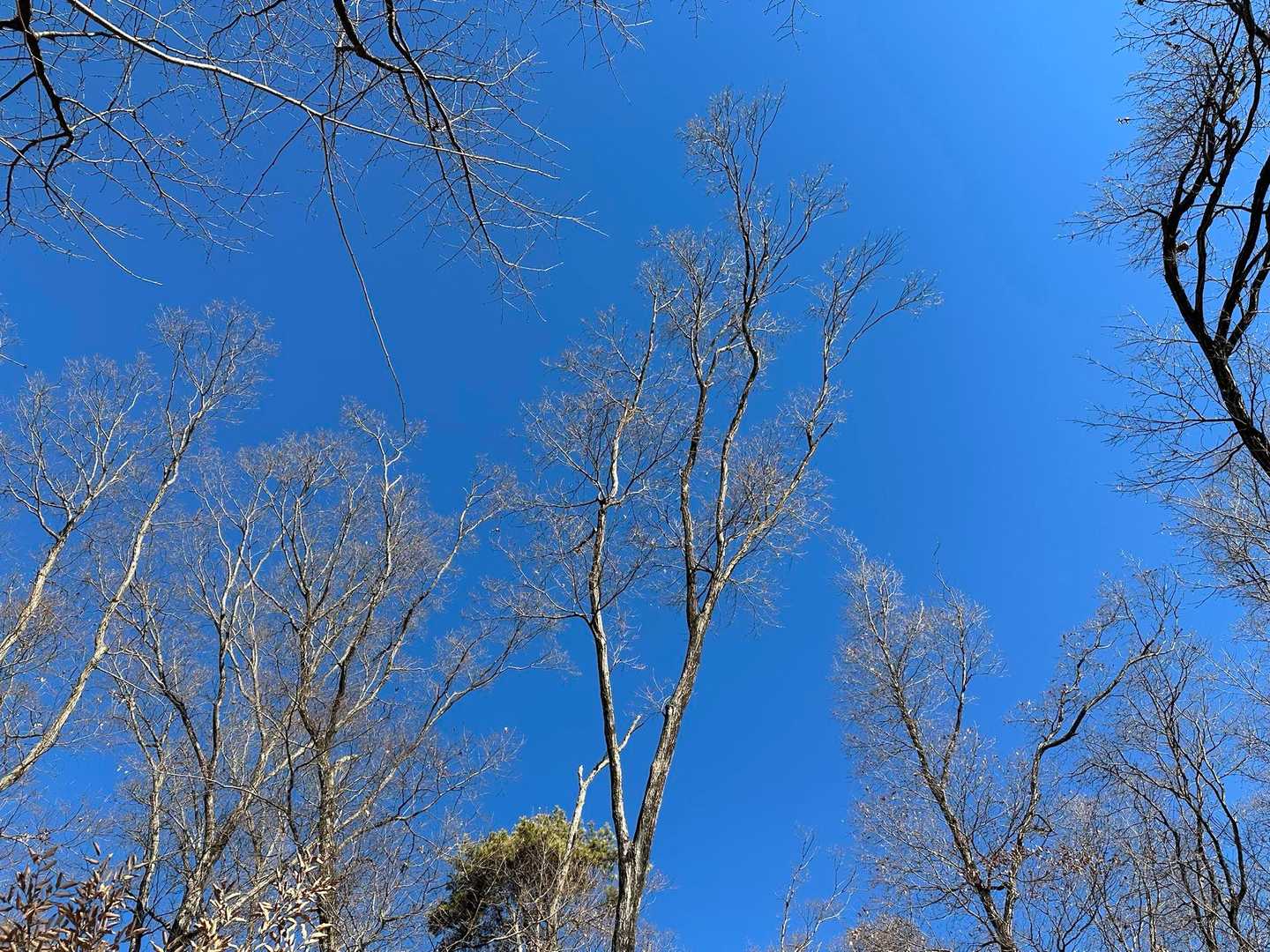 八王子山往復 | 街から歩ける白い巨岩の特等席、甲府盆地と富士山を見下ろす開放感の写真