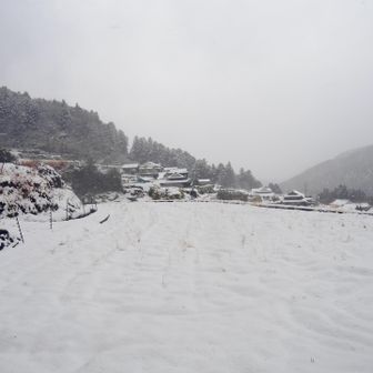 それではこれから、花き研究指導室に向かいます