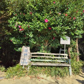 ベンチもあって小休止