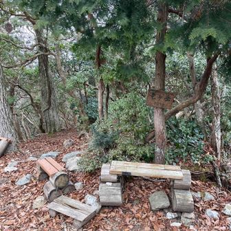 竜ヶ岳山頂。ルートが落ち葉でやや分かりにくいところがありました。ピンクテープもわかりにくいところがありました。