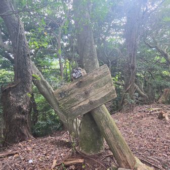 樫ヶ峰山頂へ到着ー！💦
山頂は景色はありませんでした