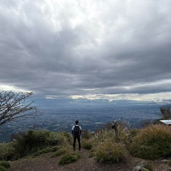 赤城の赤鳥居を探す猫山さん🔍笑