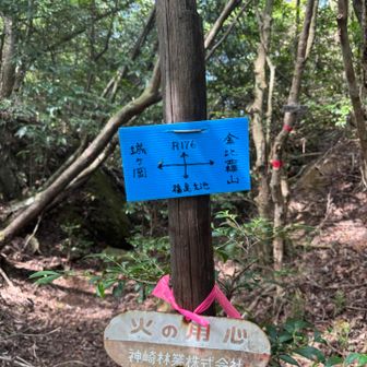 ここまでの道が蜘蛛の巣だらけ。タイミング悪かったのかなー