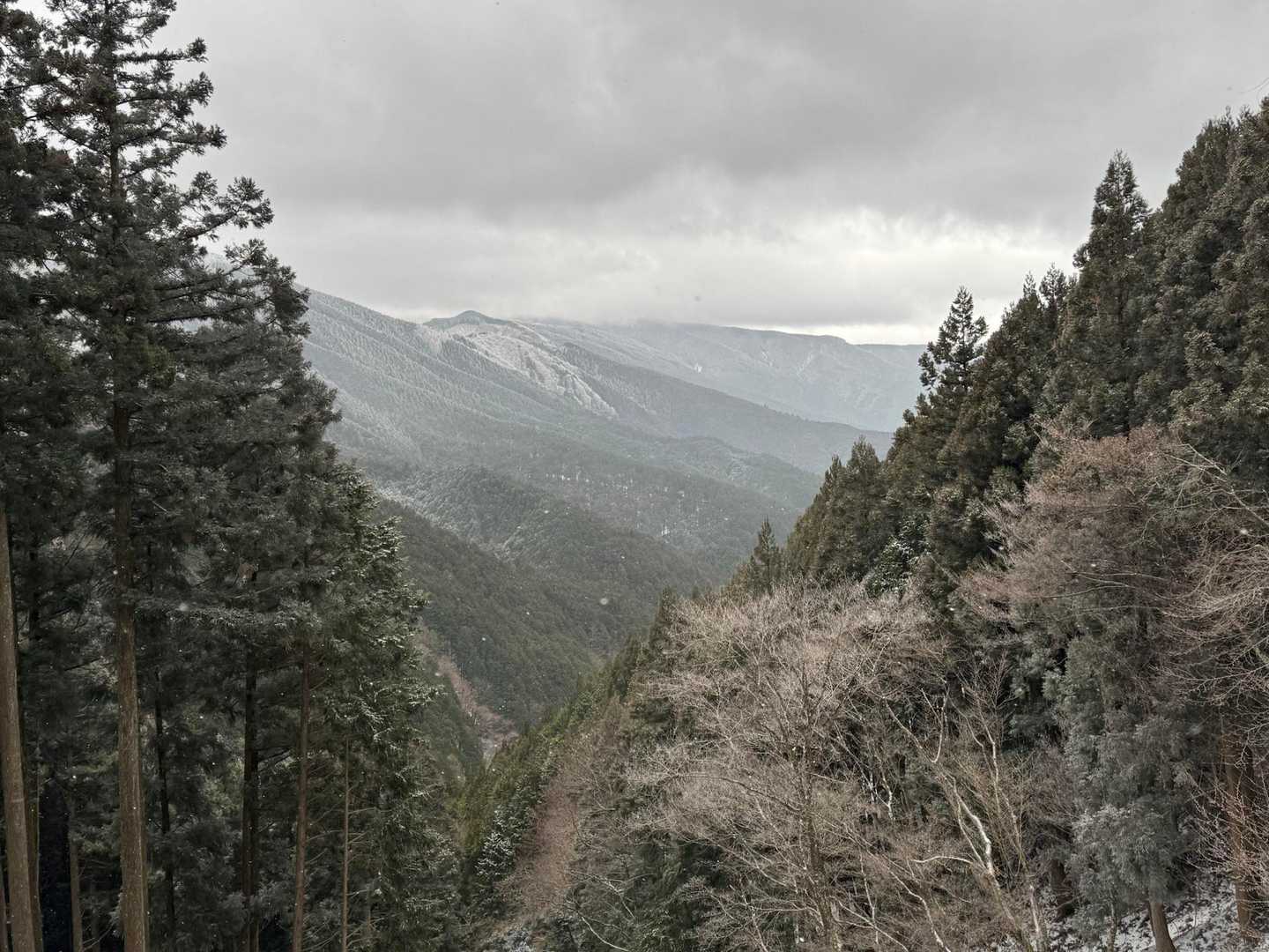 高見峠-高見山 周回コースの写真