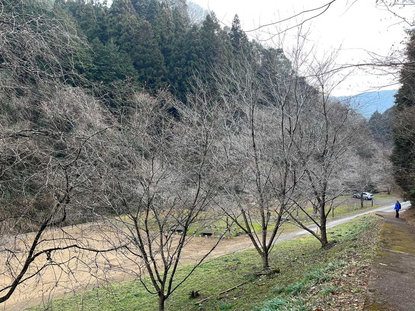 無事下山
本日は2組すれ違いました🙋