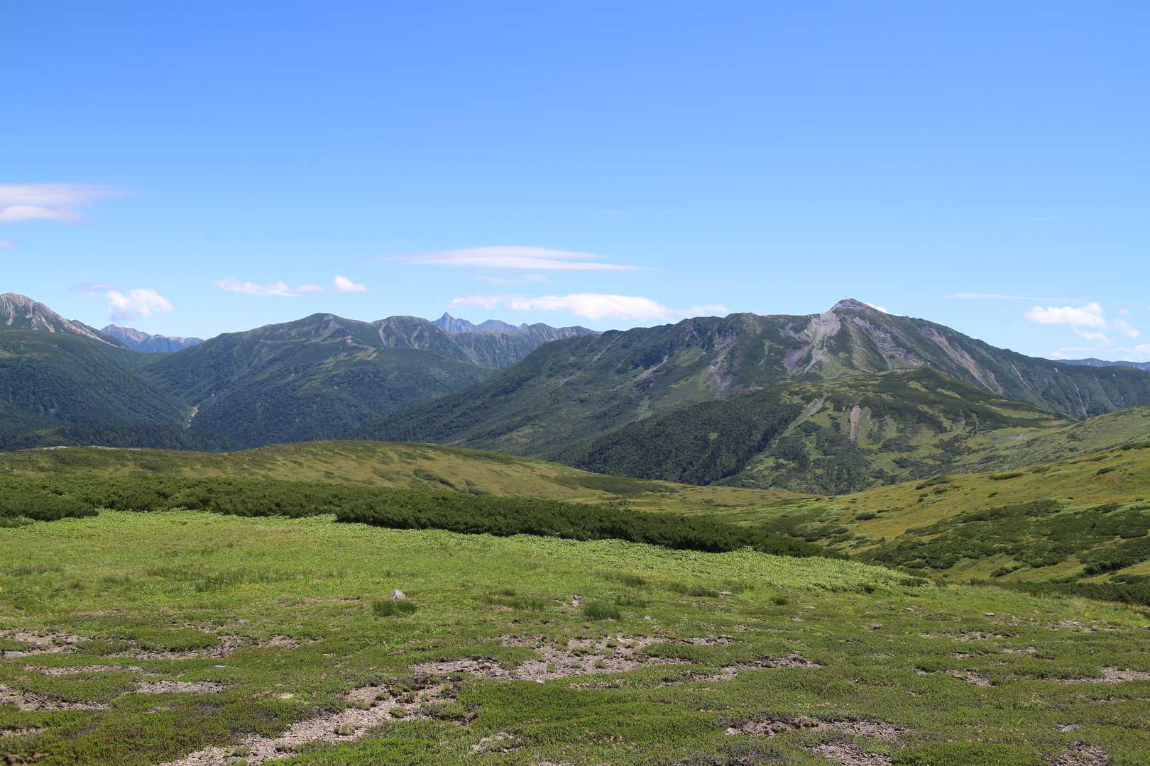薬師岳登山口-五光岩ベンチ-北ノ俣岳 往復コースの写真