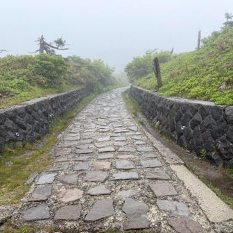 散策路はずっと石畳。綺麗すぎて雨だと滑る。