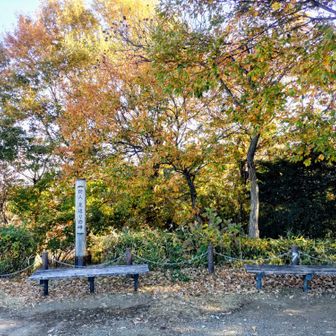 恐らく帰ってはこない防人を見送った家族や見送られる防人が見返り…😣