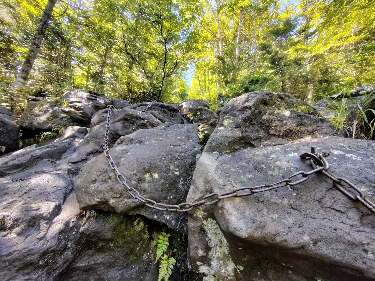 鎖場も出現⛓️