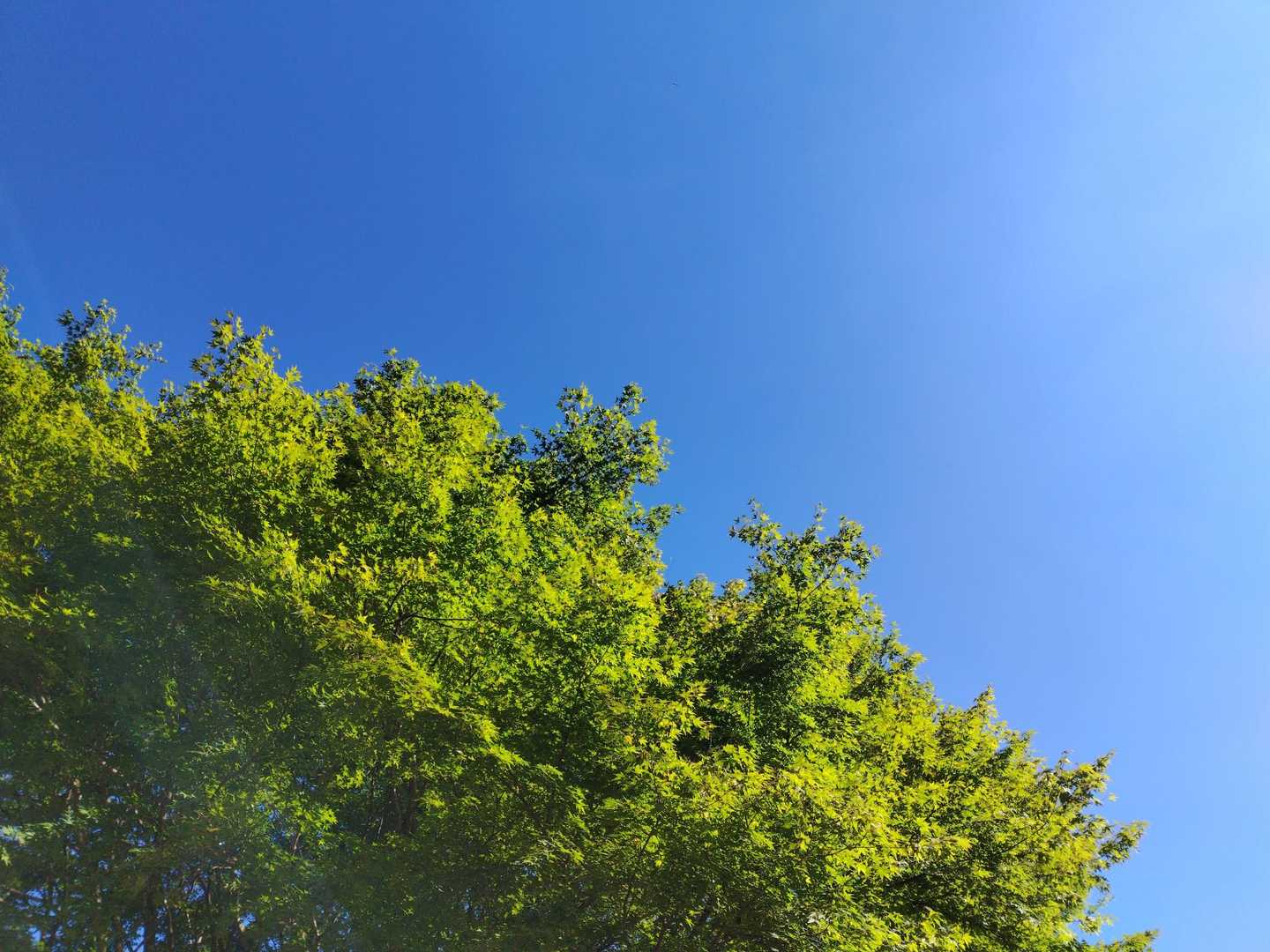 晴天☀
仕事前に🚶