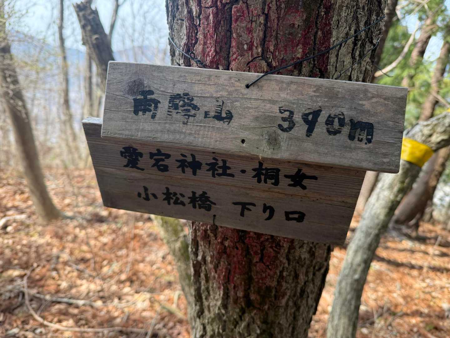 雨降山⛰️とうちゃーく
未踏ピーク6つ目ᵍᵋᐪ( ᐛ )و
