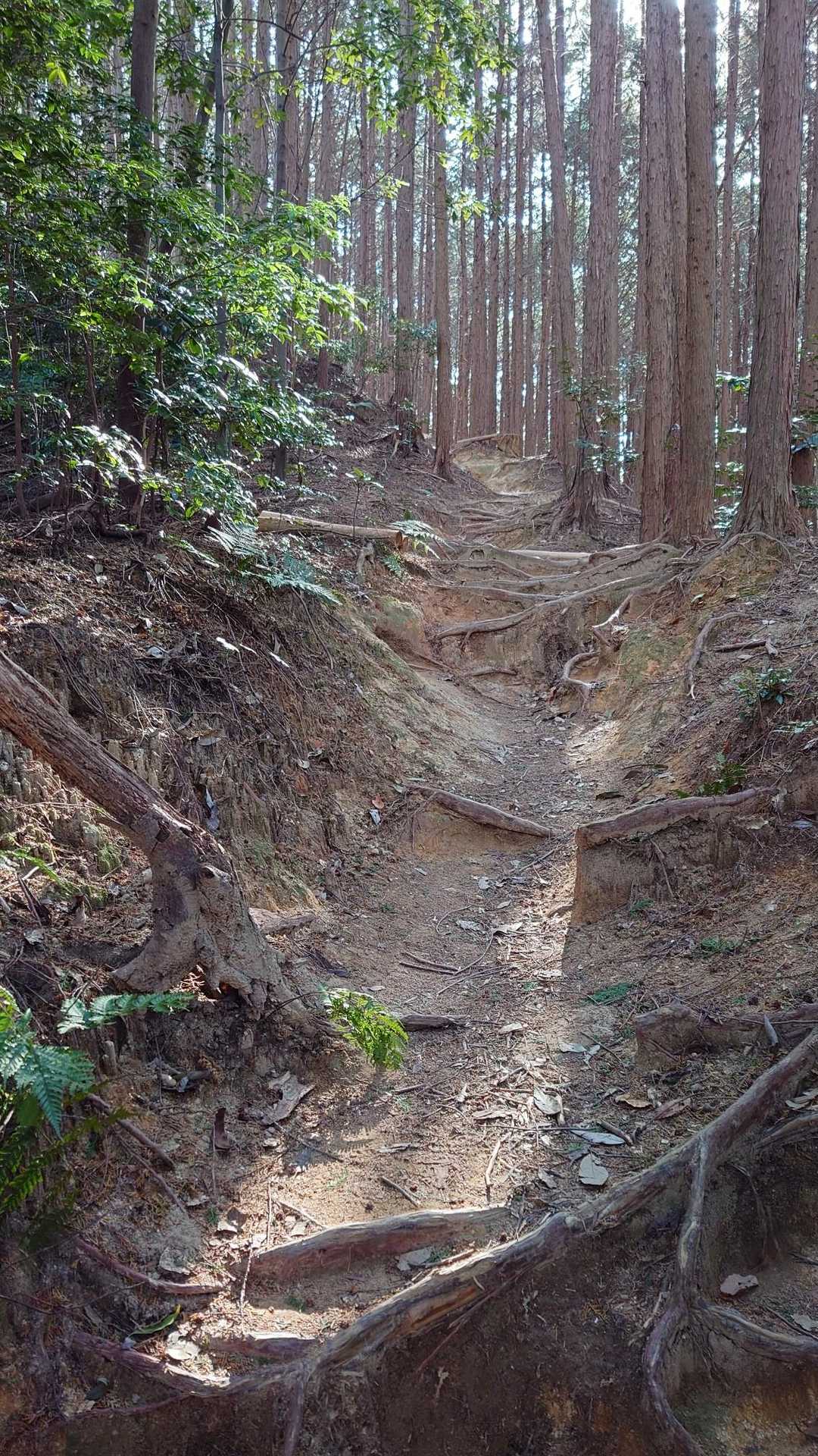 来た道戻るので、不安なく🙆
怖くない！安心って大事なんですねー🍀楽しくなってきてますっ(*˘︶˘*).｡.:*♡