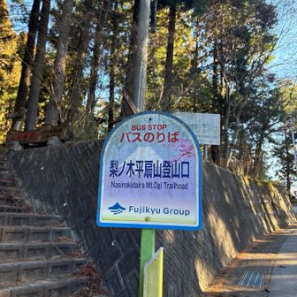 バス停あるのにバス🚌走ってない😂