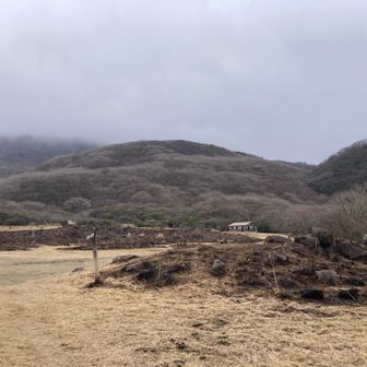 早めに法華院温泉山荘に逃げ込むか…。