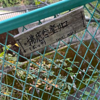 ボッデガべネタしか頭に浮かばない物欲まみれの私