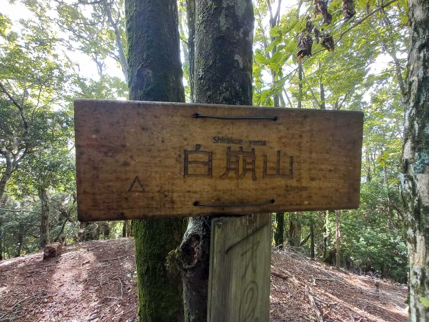ピーク到着
シラクエヤマ