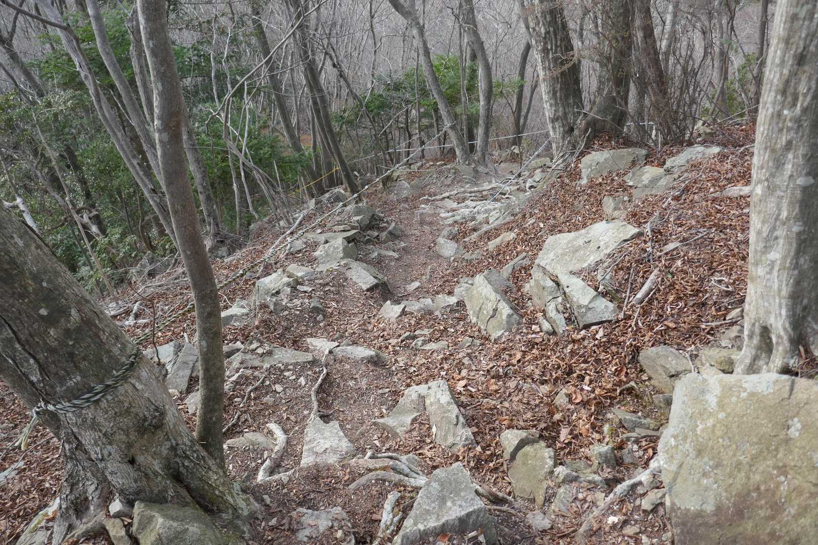 降りはAコースで
結構な急降りが続きます