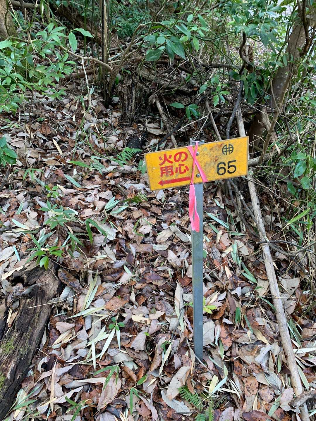 登山口目標
これ笑笑😨
分からないわっ