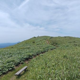 子三瓶山までもうすぐ