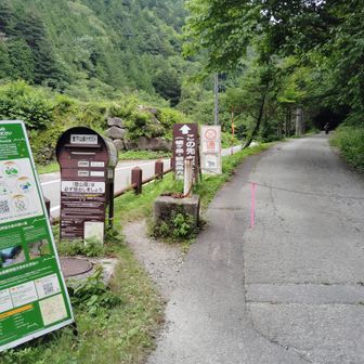 戻ってきました。