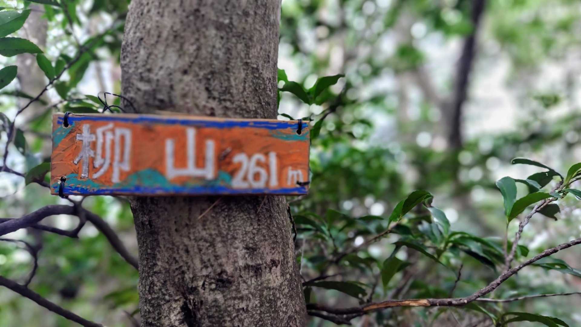 ２座目の柳山到着🎶