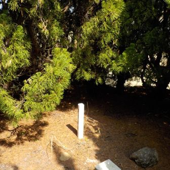 高倉山山頂三角点