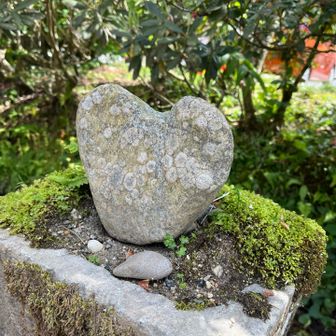 ハート❤︎
神様、今日も見守って頂きありがとうございます🙇‍♀️
ずっとずぅ〜と、山歩きたい
まだ見ぬ絶景の世界へ。。。
