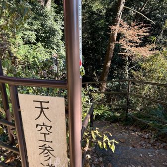 天空テラスでランチ