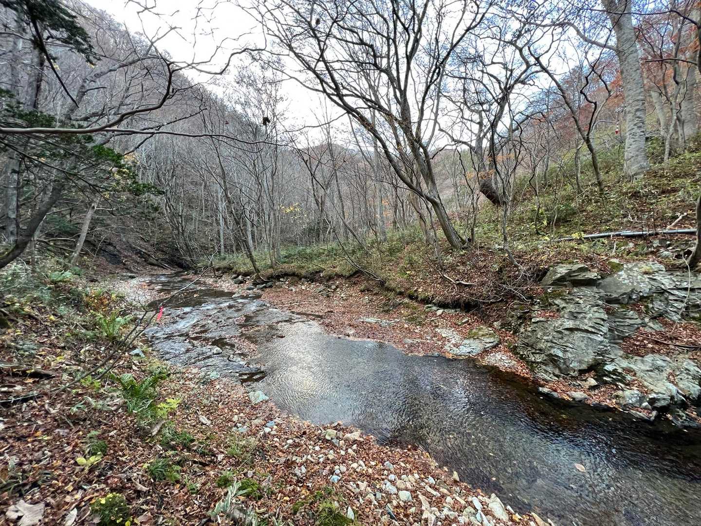 こちらが渡渉場所ね🎗
滑る滑る💦