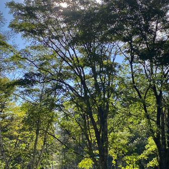 お疲れ山でした⛰️感無量🥹