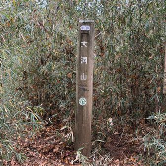 七座目！南高尾セブンサミッツコンプリート🥳