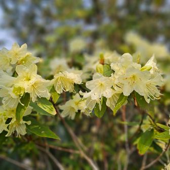 やっぱり日陰もお似合いね♡