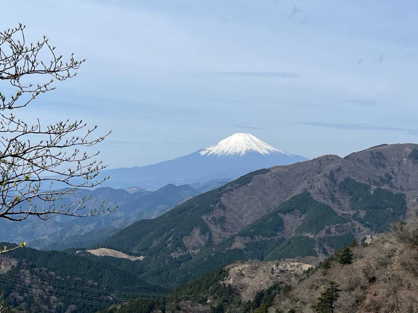 蓑毛バス停-大山-ヤビツ峠 周回コースの写真