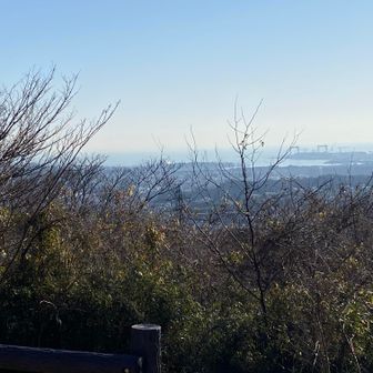 横須賀方面が一望できます