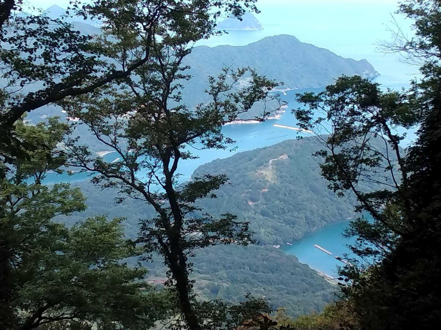 青葉山 縦走コースの写真