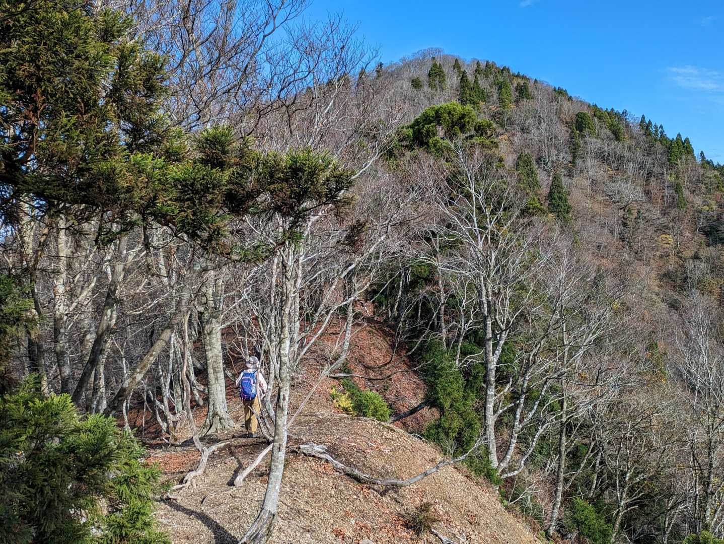尾根歩きは楽しいです