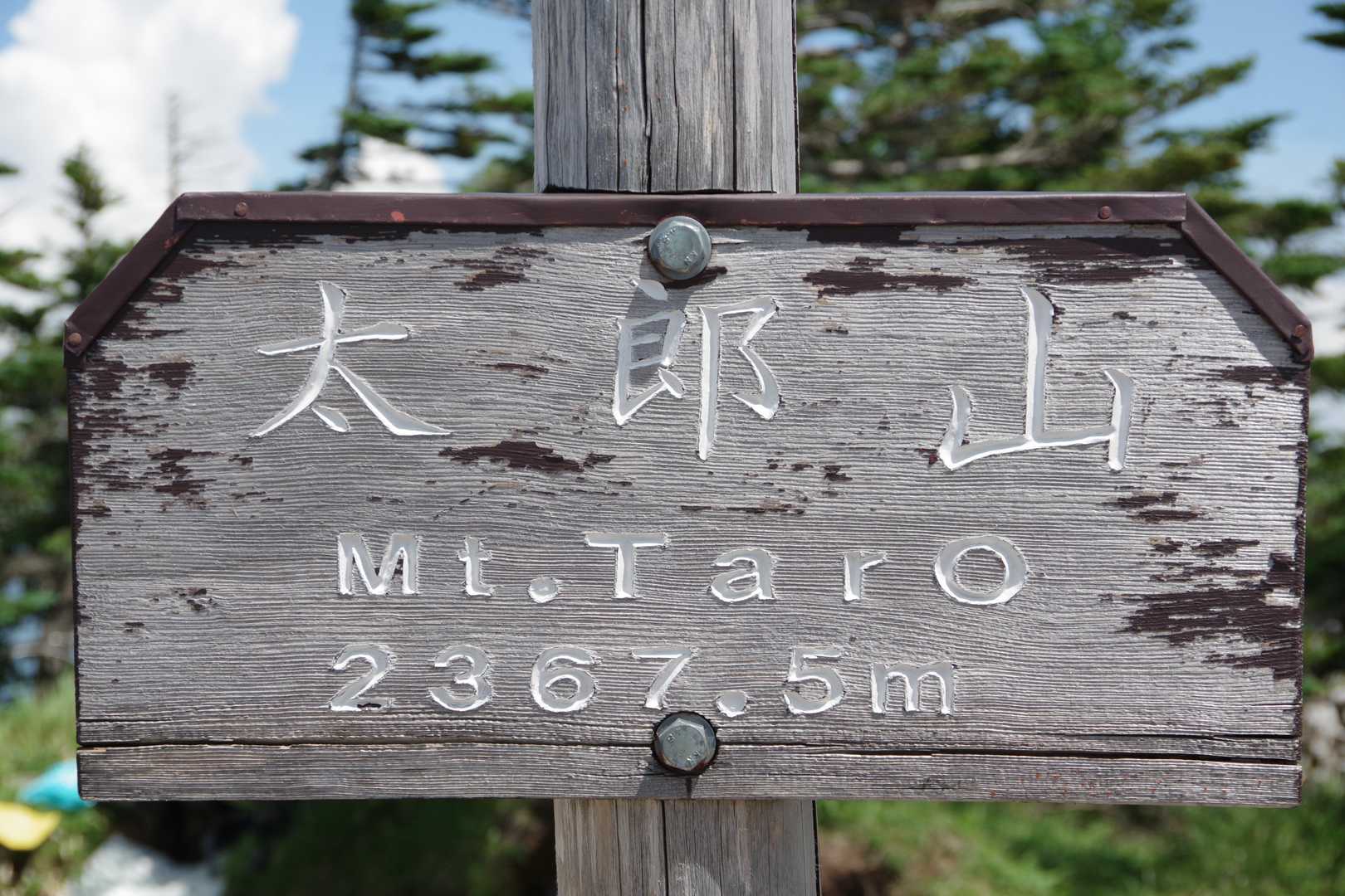 太郎山登山口-山王帽子山-太郎山 往復コースの写真