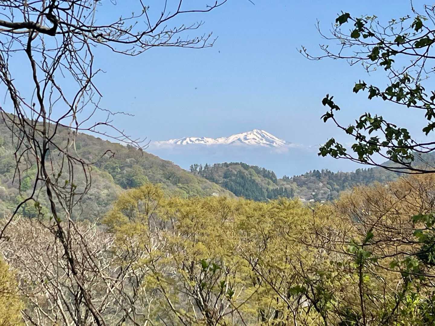 クッキリと鳥海山❣️