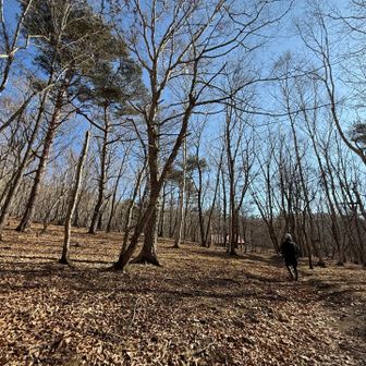 短い距離でしたが気を使う下山で結構足が疲れました