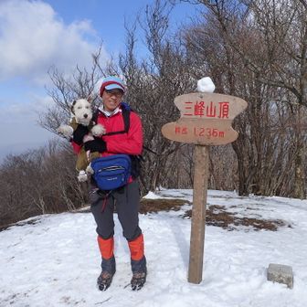 山は犬連れ