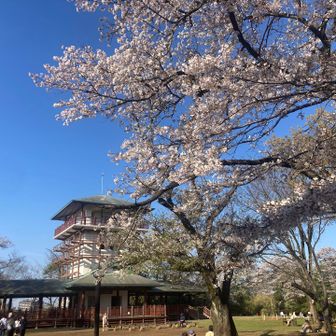 枡形山山頂広場